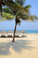 ミーケー・ビーチとビーチパラソルと椰子の木 (ベトナム, ダナン)