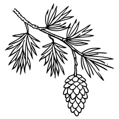 Snow-Covered Pine Branch with Pine Cones - Vector Art