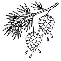 Snow-Covered Pine Branch with Pine Cones - Vector Art