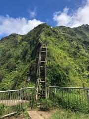 suspension bridge in the mountains