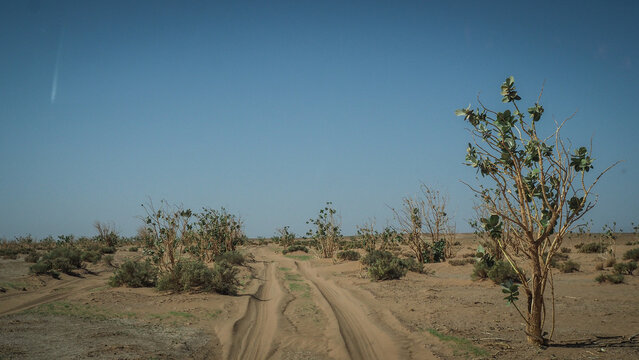 The Sahara Desert en route to Erg Chigaga in Morocco