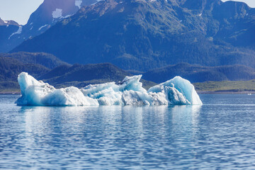 Columbia Glacier Area