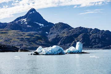 Columbia Glacier Area