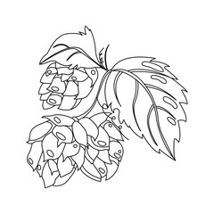 Ripe green hop cones stroke vector icon. Symbol of beer, pub and alcoholic beverage. Clip-art print for packaging, menu, signboard, showcase. Isolated on white background