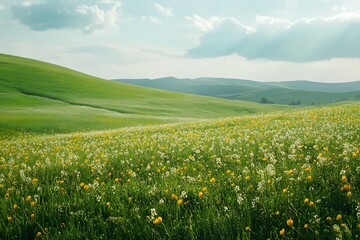 Fototapeta premium Rolling green hills with wildflowers under blue sky and fluffy clouds, spring nature landscape photo