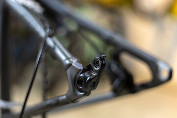 mountain bike rear derailleur hanger