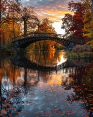 Obraz premium River bridge on fall park background