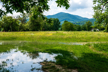 Fototapeta premium High water and seasonal flood in summer and autumn after raining.
