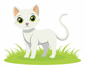 A cat cub is standing on the grass on a white background. A Khao Manee white cat 