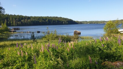 lake in the mountains