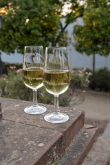 Sherry wine glasses and old bogedas jerez wine cellars on background in Jerez de la Frontera, wine glasses outdoor, cityview, Andalusia, Spain