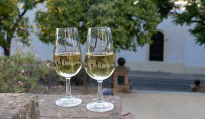 Sherry wine glasses and old bogedas jerez wine cellars on background in Jerez de la Frontera, wine glasses outdoor, cityview, Andalusia, Spain