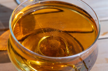 Tasting of french apple cider brut in glass made from new harvest apples outdoor in sunny orchard