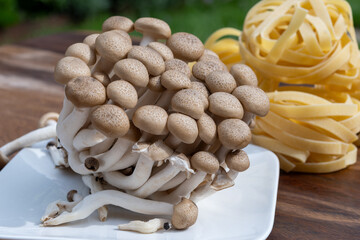Making tagliatelle pasta with brown shimeji edible mushrooms, buna-shimeji is widely cultivated and rich in umami tasting compounds