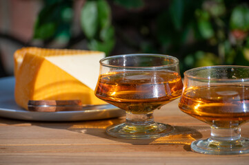 Tasting of french apple cider brut in glass made from new harvest apples outdoor in sunny orchard