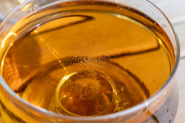 Tasting of french apple cider brut in glass made from new harvest apples outdoor in sunny orchard