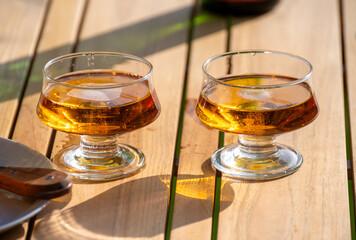 Tasting of french apple cider brut in glass made from new harvest apples outdoor in sunny orchard