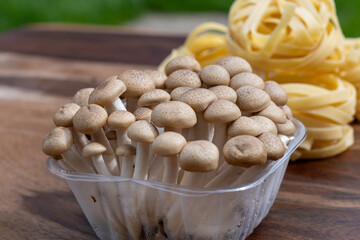 Brown shimeji edible mushrooms native to East Asia, buna-shimeji is widely cultivated and rich in umami tasting compounds