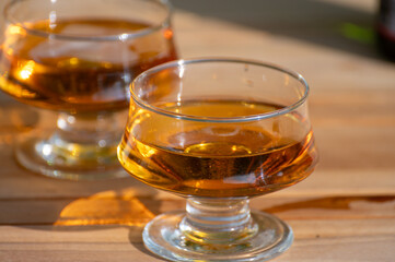 Tasting of french apple cider brut in glass made from new harvest apples outdoor in sunny orchard