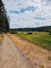 Trail at Knothead Valley Loop in Spokane, WA