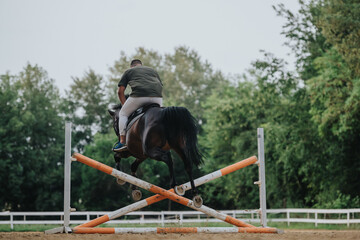 Equestrian riding horse jumps over an obstacle in an outdoor training arena. Experience the...