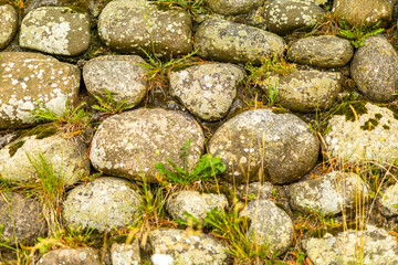 Natural stone path covered with grass and moss in a serene outdoor environment during daylight hours