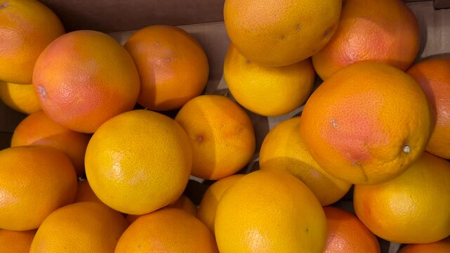 Red grapefruits in cardboard crates, tracking shot in top view