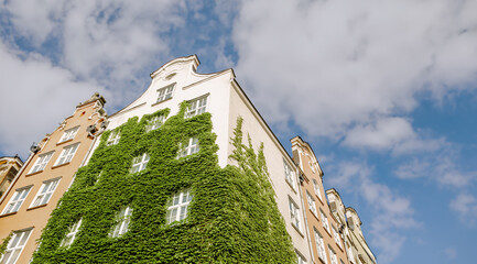 Green Facade Is Covering White Building Under Blue Sky In The Old Town Of Gdansk, Poland, Beautiful Architecture Details. Gdansk, Poland - 29.05.2024