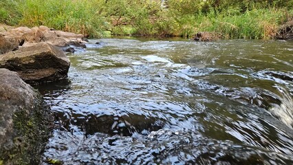 water gently flowing into a stream