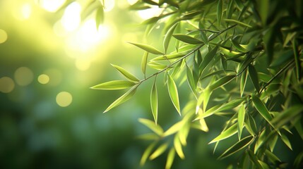 Bamboo forest with tall bamboo stalks, panda munching on leaves, sunlight filtering through, soft green lighting