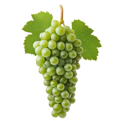 Obraz premium Fresh green grape bunch with vibrant leaves, isolated on a transparent or white background.