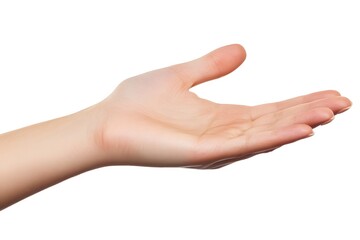 An open human hand facing upward with fingers slightly curved, set against a clean white background, creating a simple and clear presentation.