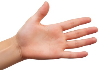 An open human hand facing upward with fingers slightly curved, set against a clean white background, creating a simple and clear presentation.