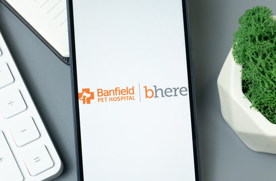 New York, USA - 30 August 2024: Banfield Logo on Phone Screen, Company Icon on Display