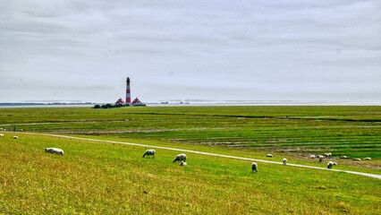 dutch landscape with windmill