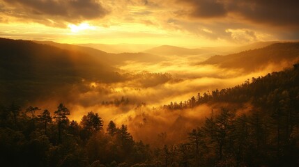 A dense layer of fog-like clouds covering a forested valley at sunrise, with golden light breaking through.