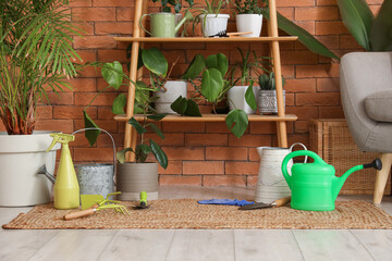 Shelf unit with plants and gardening tools on rug in living room