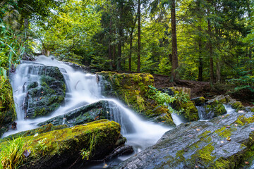 waterfall in the forest