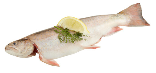 Salmon, fresh, whole, with skin and yellow lemon