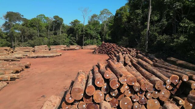 Aerial drone footage of a storage yard of sustainably harvested timber in a forest management project in the brazilian Amazon region