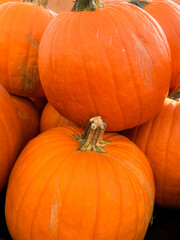 pile of pumpkins, at farmers market 
