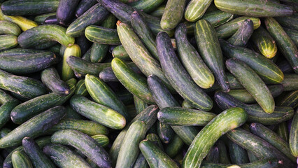 Green cucumber pile. Focus selected