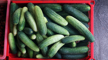 Pile of green cucumbers in a plastic basket. Focus selected