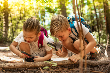 Children using magnifying glass exploring in the forest, child discovery adventure, learning about nature concept 