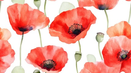 Obraz premium Watercolor pattern featuring wild poppy flowers Aquarelle design suitable for backgrounds textures wrapping patterns frames or borders