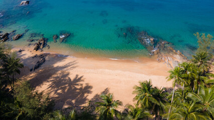 exotic palm trees wood at beach horizontal Video , Travel concept