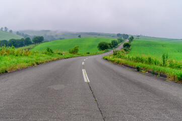 Curving Road in the Mist &ndash; Atmospheric Meadow View