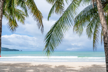 Summer background of Coconut Palm trees on sandy beach, Landscape nature view ocean bay with blue blue sky white clouds at Phuket island Thailand