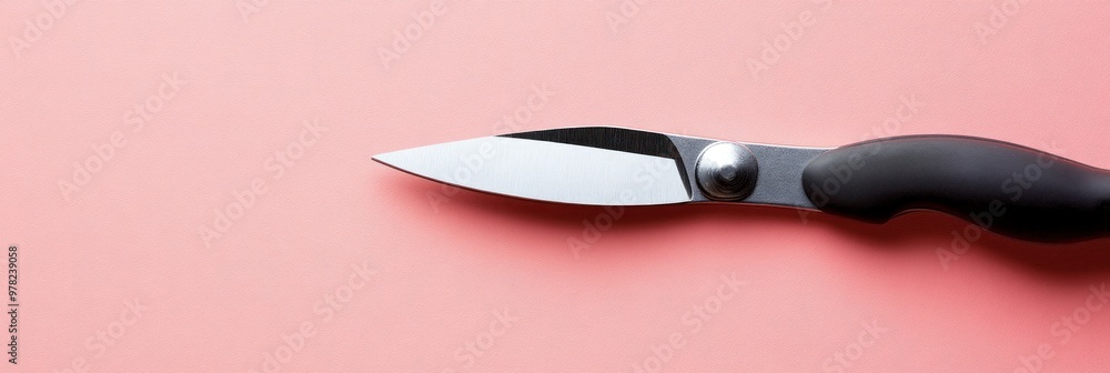 Poster a sleek pair of scissors on a pink background, showcasing design and functionality.
