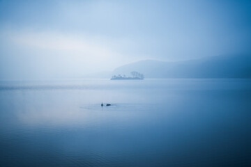 Fototapeta premium 동양화